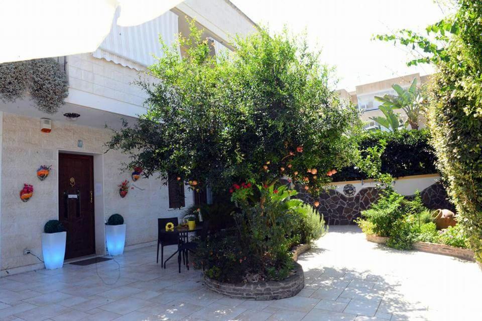 Profumo Di Mare B&B Gallipoli Buitenkant foto